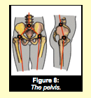 Screen shot 2017-10-18 at 7.20.30 PM.png